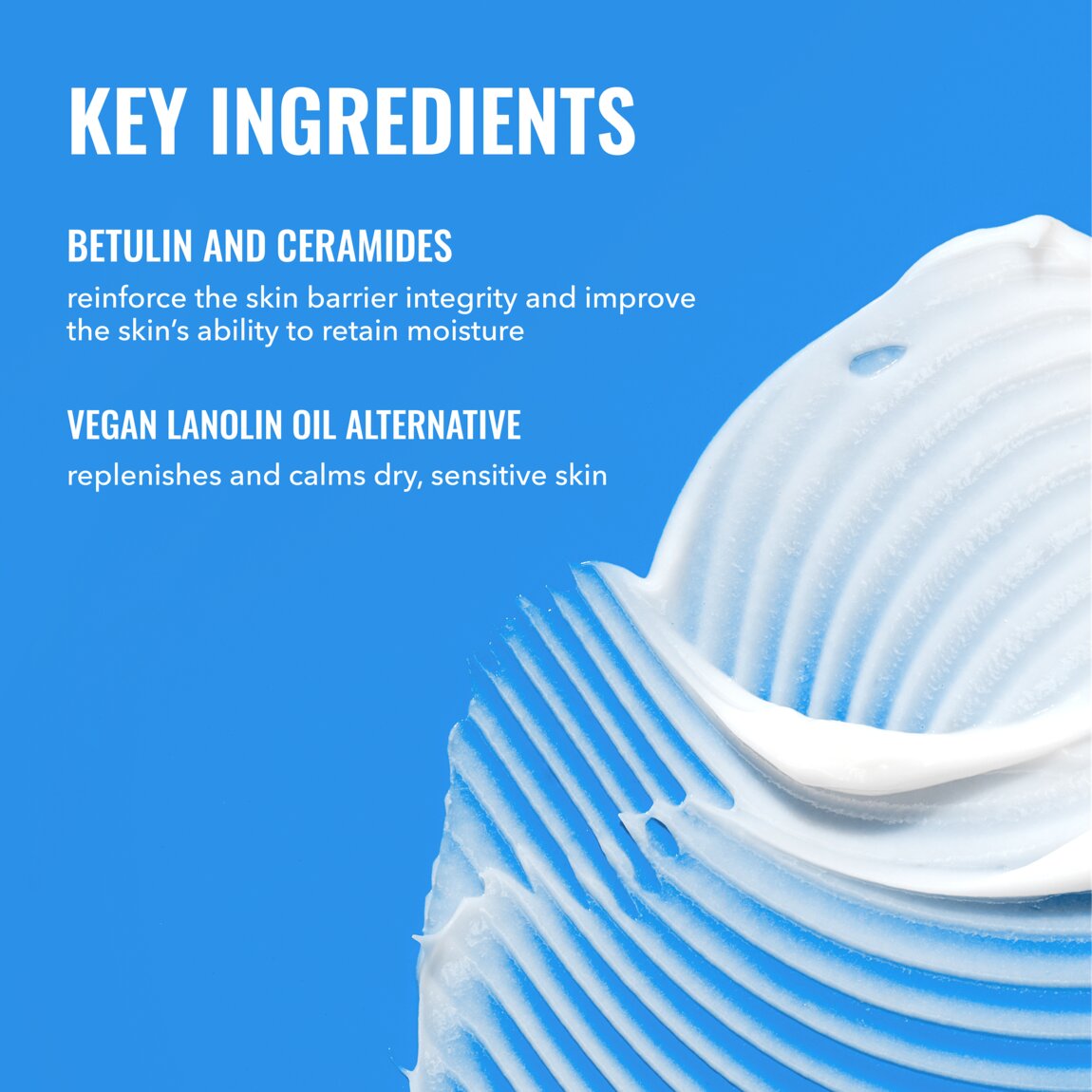 rich-cream-with-ceramides-r5 zb_p.jpg